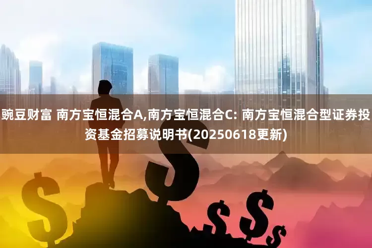 豌豆财富 南方宝恒混合A,南方宝恒混合C: 南方宝恒混合型证券投资基金招募说明书(20250618更新)