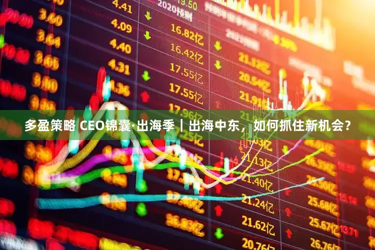多盈策略 CEO锦囊·出海季｜出海中东，如何抓住新机会？