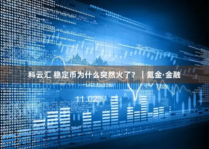 科云汇 稳定币为什么突然火了？｜氪金·金融