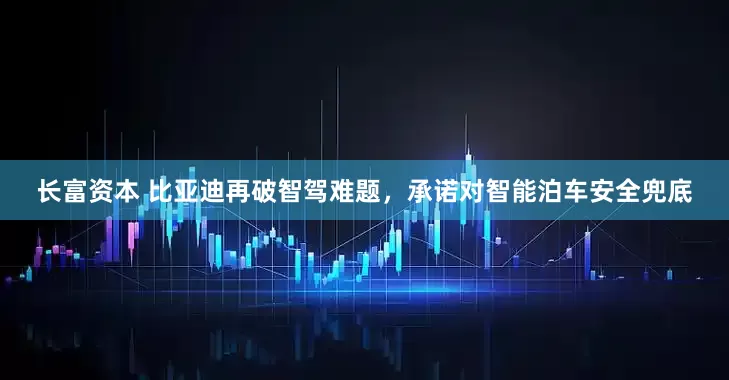 长富资本 比亚迪再破智驾难题，承诺对智能泊车安全兜底