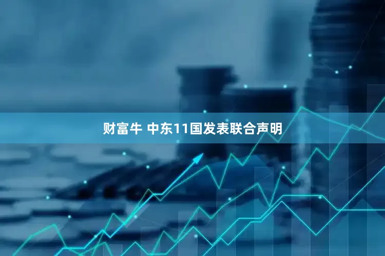 财富牛 中东11国发表联合声明