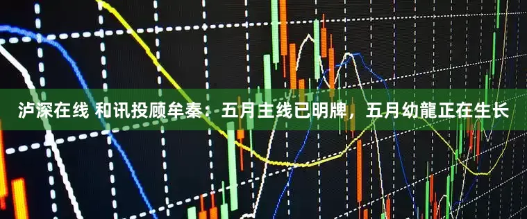 泸深在线 和讯投顾牟秦：五月主线已明牌，五月幼龍正在生长